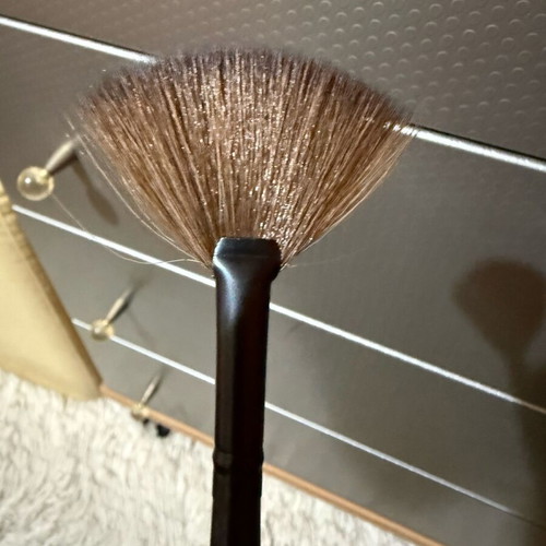Dust+Cream fan brush new for highlighter