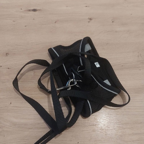 Black leash and harness set for small pets, new