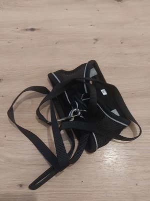 Black leash and harness set for small pets, new