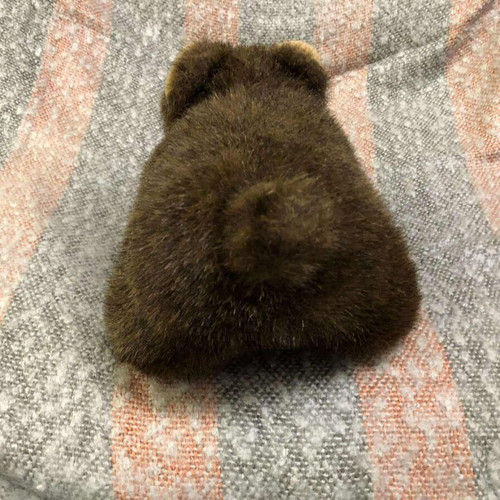 Plush teddy bear toy used, sound not working