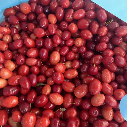 Mountain cornelian cherries from Vermio, organic