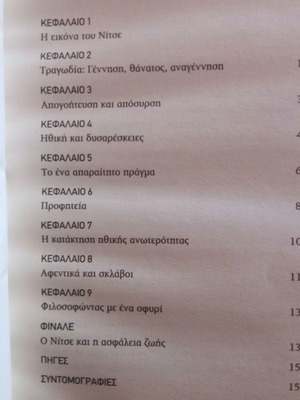 Introduction to Nietzsche used book