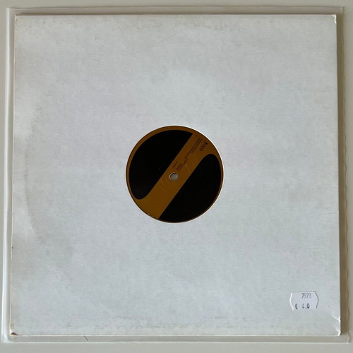 Thomas Penton Presents Stripwalker Everything Is Wrong 12" vinyl used
