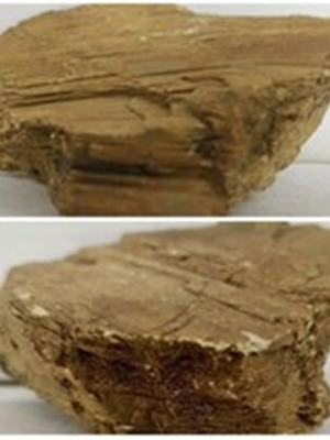 Petrified Wood Collection like new, 6 pieces