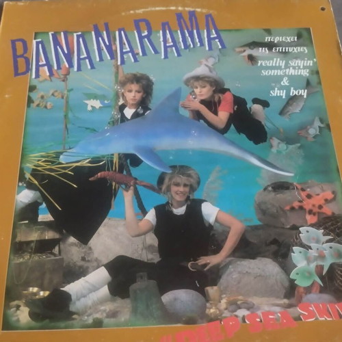 Bananarama Deep Sea Skiving vinyl used, pop