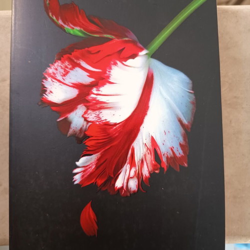 New Moon Red Edged Special Edition paperback by Stephenie Meyer like new
