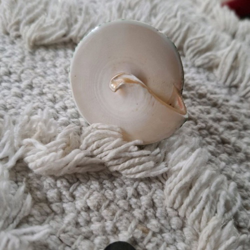 Ring oversized summer shell design new 52 mm