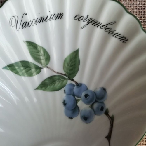 Apilco porcelain shell plate vintage like new, made in France 1998