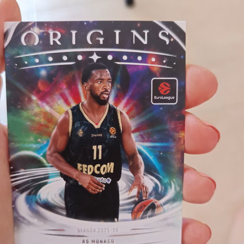 Panini basketball cards