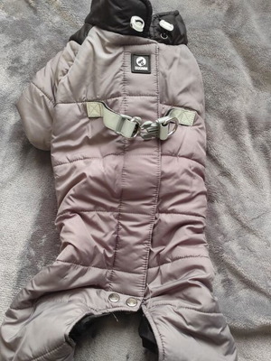 Dog jacket like new, small size, 40cm height, 50cm chest