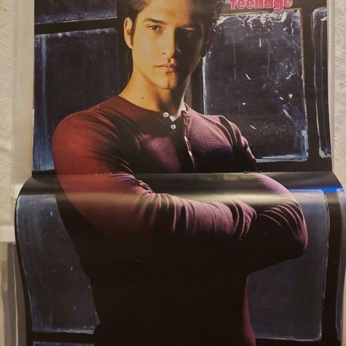 Tyler Posey & Ginno poster like new, size 41x28