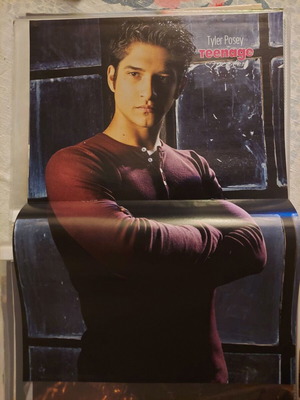 Tyler Posey & Ginno poster like new, size 41x28