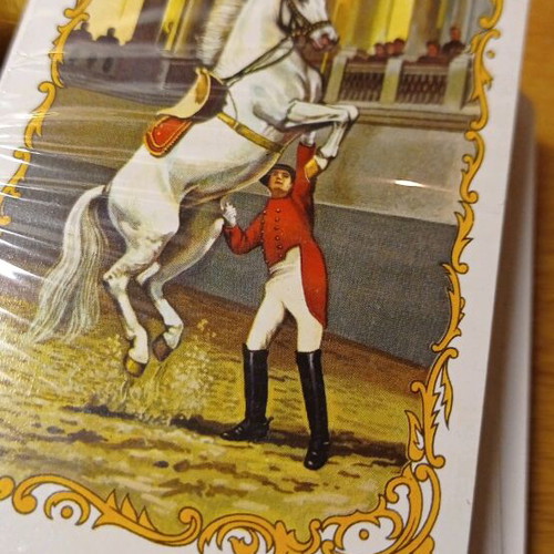 Vintage luxury collectible playing cards Piatnik Plasti-Smooth Austria