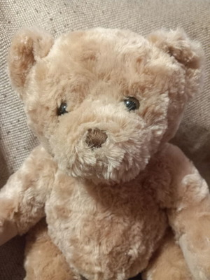 Teddy bear plush toy in good condition