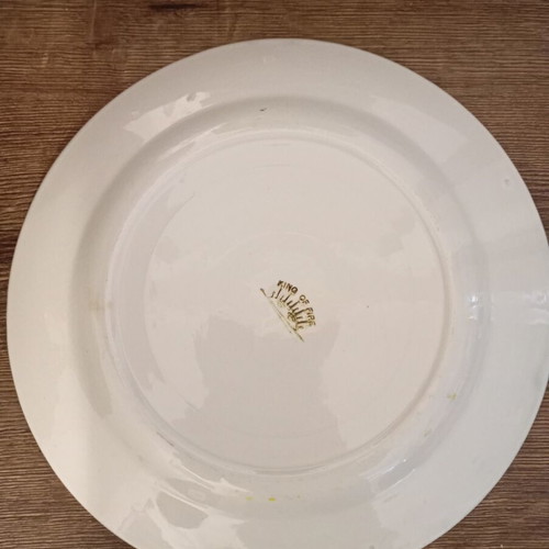 Vintage King of Fire decorative plate used with romantic design