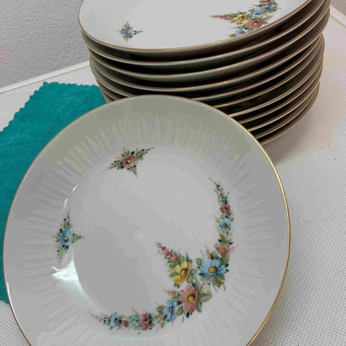 Vintage Scherzer Bavaria Porcelain Dinner Set 65 Pieces like new
