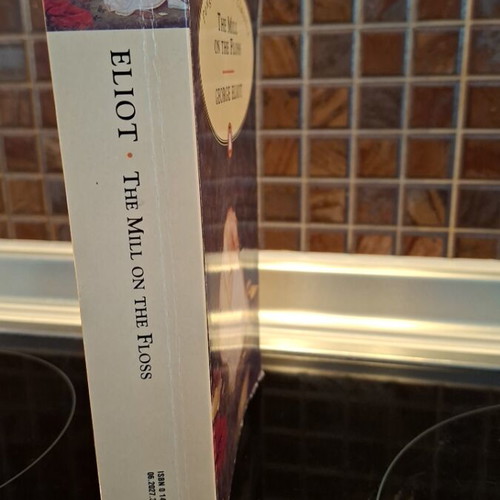 The Mill on the Floss novel used, English