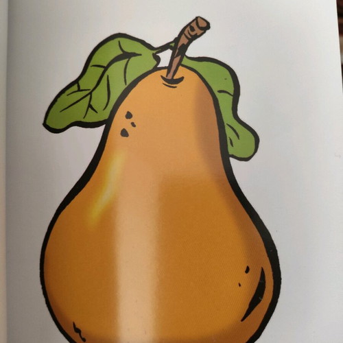 Little Freddy Flashcard Book like new