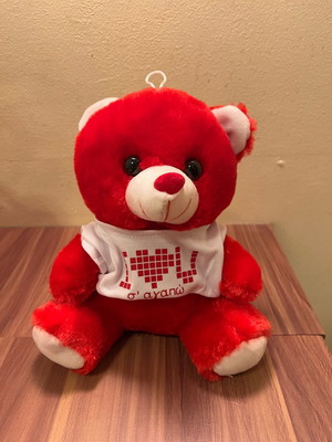 Plush teddy bear with I love you shirt like new