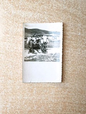 Ox Cart and Peasant Vintage Black and White Photo used, mid-20th century
