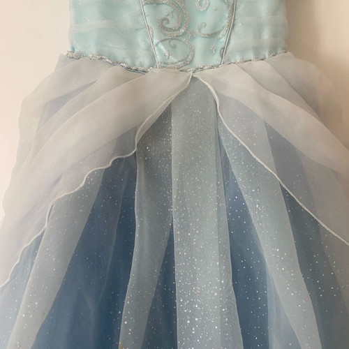 Cinderella costume from Disneyland worn for 2-3 hours