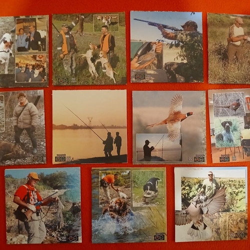 Hunting and Cynophilia DVD set like new, 11 pieces