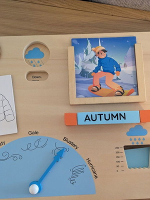Montessori Wooden Weather Station new