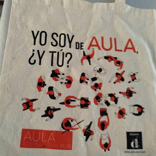 Aula Difusion Canvas Shoulder Bag like new, linen-cotton