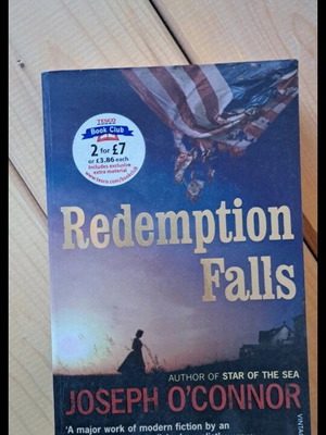 Redemption Falls book like new