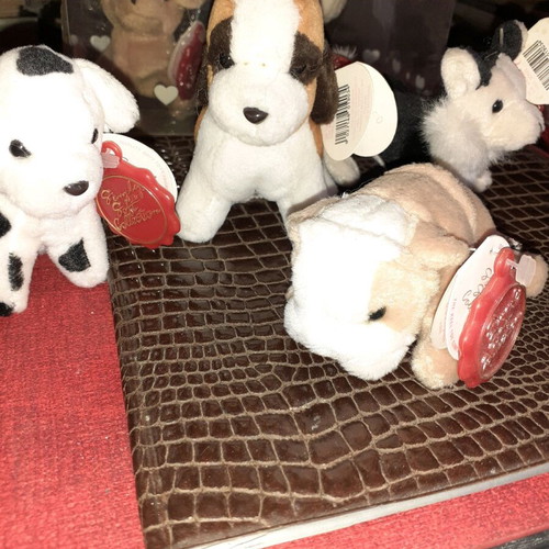Box with dogs new, various breeds