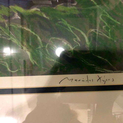 Manolis Haros silk screen print with frame 53x63 cm like new