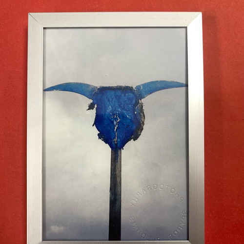 Authentic Taurus photo signed, 16x12 cm