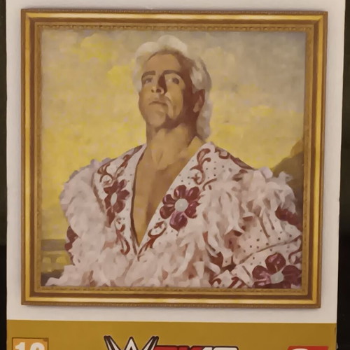 WWE2K19 Woooo! Edition Box for PlayStation 4 new