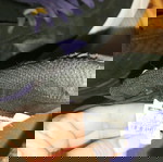  Nike αθλητικά