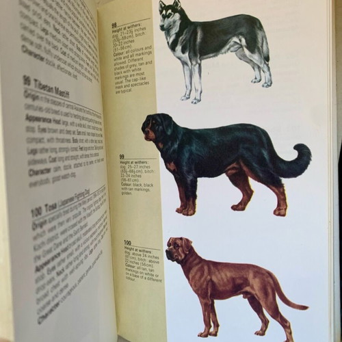 The Hamlyn Guide to Dogs hardcover like new