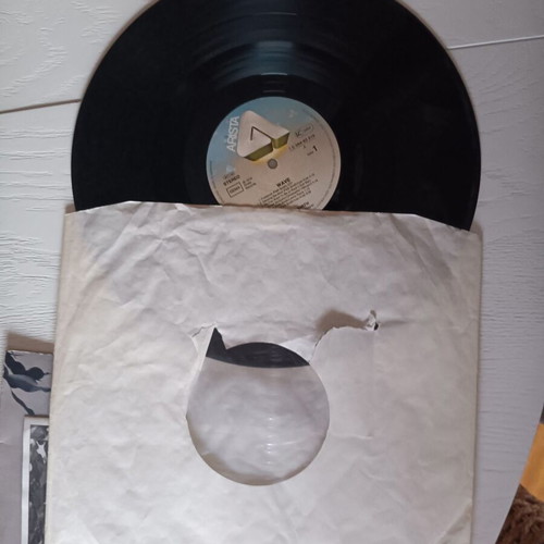 Patti Smith LP record Wave 1979 used, rock