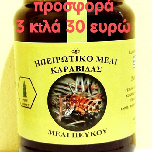 Pine honey 3 kg from Epirus new