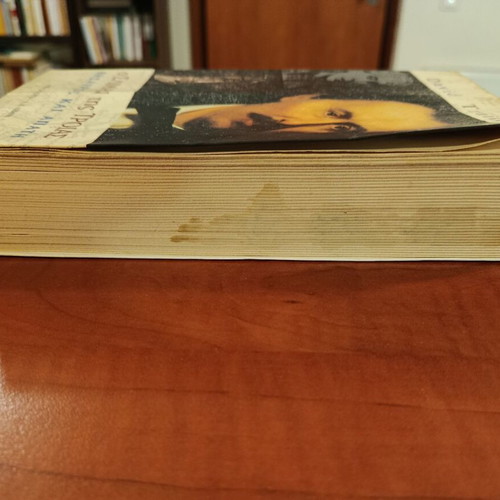 The Sleiman of Troy treasure and fraud used book