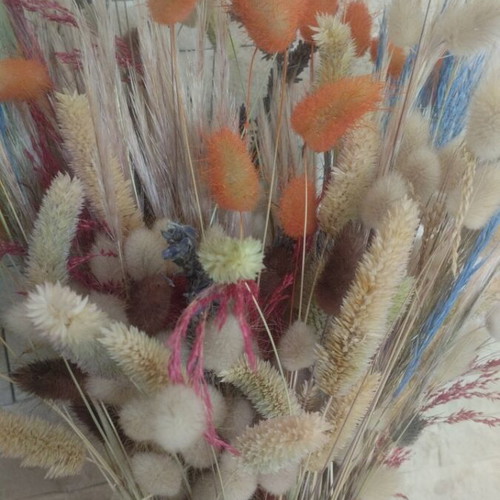 Vase with various plants new