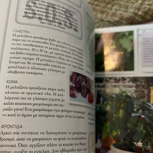 Enas kipos sto mparkoni mou book like new