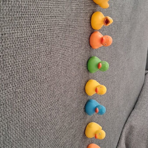 Small ducks used in good condition