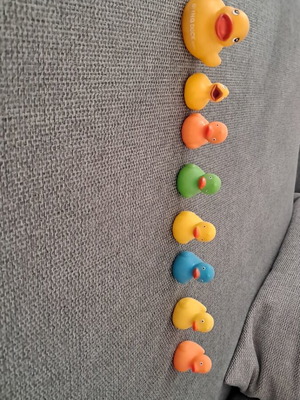 Small ducks used in good condition