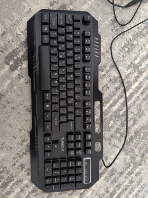 Horus II RGB keyboard and Turbo X mouse used, wired