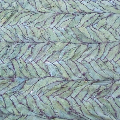 Fur rug made from fox paws, new, 300x220 cm