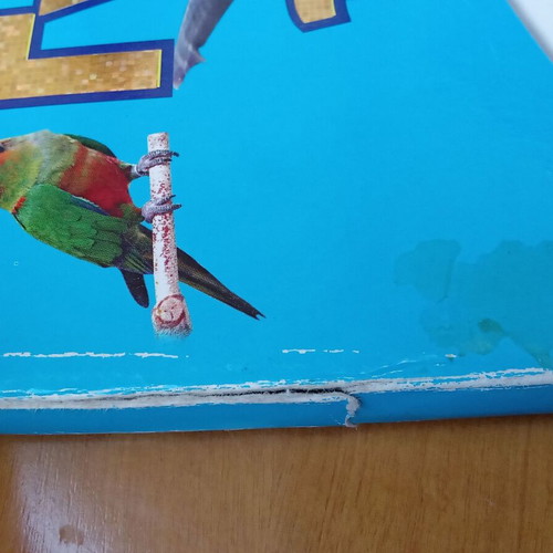 I Know the Animals children's book
