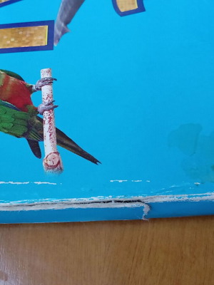 I Know the Animals children's book
