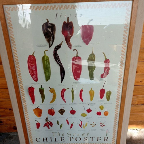 The Great Chilli Poster framed print like new