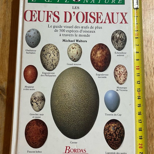 Les œufs d’oiseaux book like new, French bird egg guide