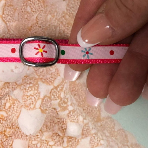 Cat collar new, suitable for all breeds and sizes
