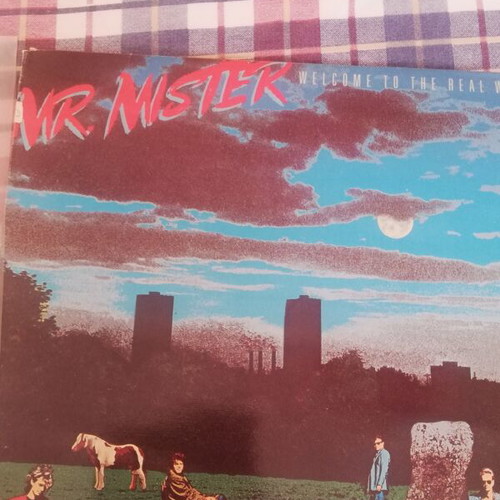 Mr. Mister vinyl like new